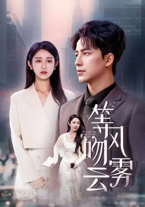 三十九级台阶 悬疑惊悚电视剧全集免费观看